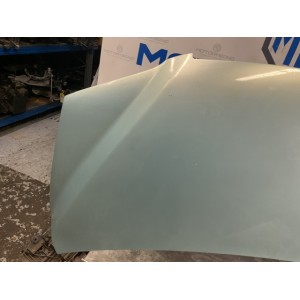 Cofano anteriore copri motore Fiat multipla seconda serie  azzurro