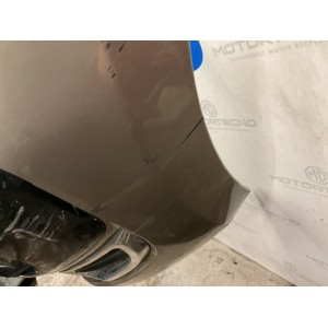 PARAURTI ANTERIORE COMPLETO CITROEN C3 Picasso (08) bronzo