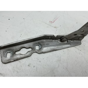 CERNIERE COFANO ANTERIORE DESTRA SINISTRA FORD C - Max Serie AM51R16800AFRH AM51R16801AFLH TYDA (10)