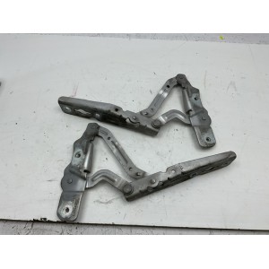 CERNIERE COFANO ANTERIORE DESTRA SINISTRA FORD C - Max Serie AM51R16800AFRH AM51R16801AFLH TYDA (10)