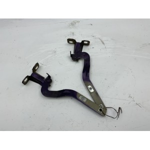 Cerniere cofano anteriore destra e sinistra per Fiat Panda 2 Serie (2003   2010) viola