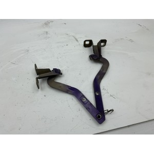 Cerniere cofano anteriore destra e sinistra per Fiat Panda 2 Serie (2003   2010) viola