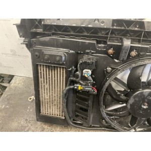 CALANDRA COMPLETA  CITROEN C4 2° Serie (10)
