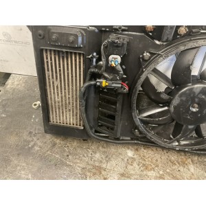 CALANDRA COMPLETA  CITROEN C4 2° Serie (10)