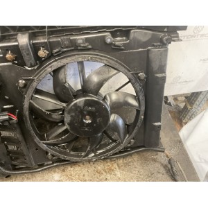CALANDRA COMPLETA  CITROEN C4 2° Serie (10)