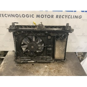 CALANDRA COMPLETA  CITROEN C4 2° Serie (10)