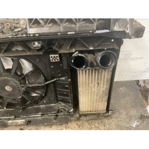 CALANDRA COMPLETA  CITROEN C4 2° Serie (10)