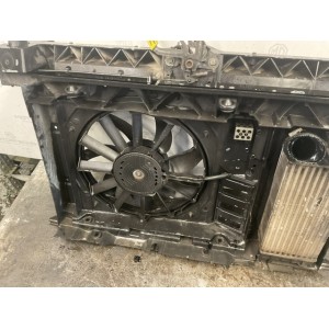 CALANDRA COMPLETA  CITROEN C4 2° Serie (10)