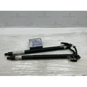 PISTONI ELETTRICI COFANO POSTERIORE PER BMW Serie 2 Gran Tourer (F46) 7365979 (14 in poi )