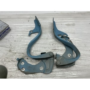 CERNIERE COFANO ANTERIORE DESTRA DX E SINISTRA SX FIAT 500 Serie 52009422 (07 14) azzurro
