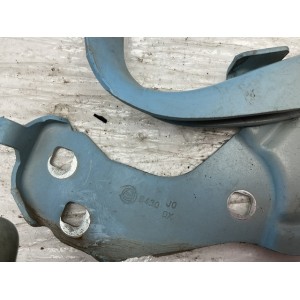 CERNIERE COFANO ANTERIORE DESTRA DX E SINISTRA SX FIAT 500 Serie 52009422 (07 14) azzurro