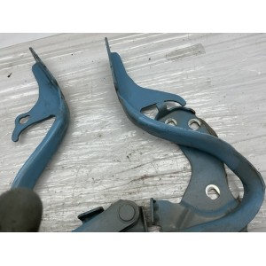 CERNIERE COFANO ANTERIORE DESTRA DX E SINISTRA SX FIAT 500 Serie 52009422 (07 14) azzurro
