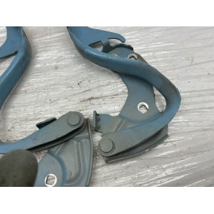 CERNIERE COFANO ANTERIORE DESTRA DX E SINISTRA SX FIAT 500 Serie 52009422 (07 14) azzurro