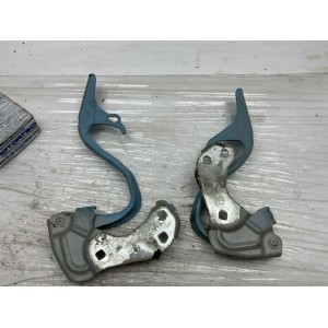 CERNIERE COFANO ANTERIORE DESTRA DX E SINISTRA SX FIAT 500 Serie 52009422 (07 14) azzurro