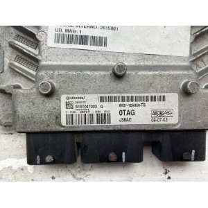 centralina ECU motore Ford Fiesta 2010 1.2 benzina S180047003 G