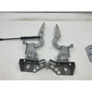 Cerniere del vano motore/cofano Renault Trafic III  654010249R 654004002R