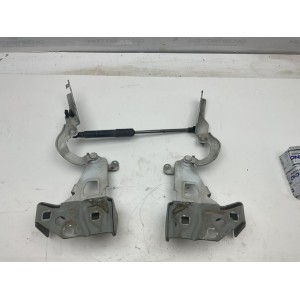 Cerniere del vano motore/cofano Renault Trafic III  654010249R 654004002R