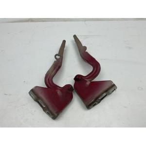 CERNIERE COFANO ANTERIORE DESTRA SINISTRA DX SX FIAT Panda 3° Serie (12in poi ) rosse