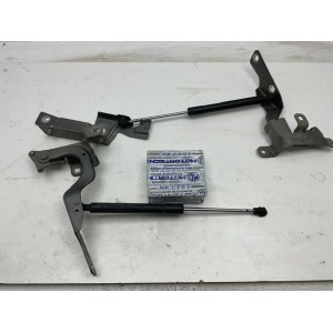 CERNIERE COFANO ANTERIORE DESTRA DX E SINISTRA SX PER RENAULT CAPTUR COMPLETE DI PISTONCINI SERIE 654001377R 654011593R (13)