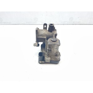 GRUPPO FARFALLATO FIAT PANDA 1.3 MULTIJET 2011 55218019