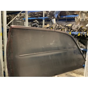 PANNELLO PORTA ESTERNO SINISTRO SX SMART FORTWO 450 (1998-2007)