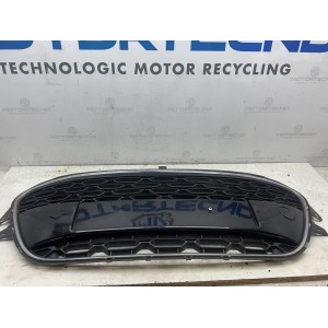 Griglia anteriore CITROEN C3 / PICASSO (2009)