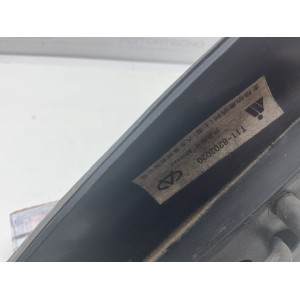 Specchietto Retrovisore DX elettrico DR5 2009 5fili T11-8202020 Calotta nera