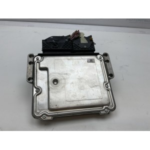 Centralina Del Motore Citroen Peugeot 0281032456 9814182680 9806460480